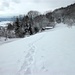 Winter im Unterland