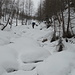 SI INIZIA A SALIRE NEL BOSCO
