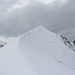 Nordostgrat zum Schäfler-Gipfel - von Schnee und Wind scharf geformt