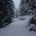 Durch den steilen Chäserenwald führt ein Fahrsträsschen zur Druesberghütte hoch, im Winter ist es ein Spazier- und Schlittelweg. Ohne das Strässchen käme man mit Ski kaum durch den Waldgürtel der mit Felsen durchsetzt ist.