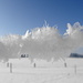 Schneekunstwerk am Weidezaun