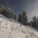 die Direttissima Route, nicht zu empfehlen, im oberen Teil wird der Hang noch steiler