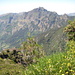 Die Westseite des Tals von Curral das Freiras. Der markante Gipfel in Bildmitte ist der Pico Grande (1.655 m), der erste Einschnitt ganz links müßte, wenn ich mich nicht irre, die Boca da Corrida sein