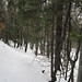 besser für Fussgänger: unsere "Gipfelabfahrt (unter den 10 cm Schnee verstecken sich im steilen Hang unzählige Steine ...)
