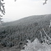 Herrliche einsame Wälder an der Olegge (Osterwald), vom Weißen Stein aus gesehen.