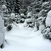 Tief verschneit gibt sich Ende 2010 der Steinwald