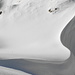 Formvollendete Konturen zwischen Mutschensattel und Alp Tesel