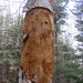 a totem made by nature