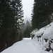 Auf dem Schlittelweg zur Druesberghütte im Chäserenwald. Schnee für Waldabfahrten hat's nicht mehr genug...
