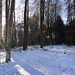 wenige Schritte ausserhalb Langenthal beginnnt der schöne Waldspaziergang ...