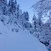 Winterzauber im Oeschiwald