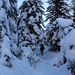 Winterzauber im Oeschiwald