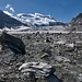 Belegte Zunge ? - auf dem Glacier de Corbassière