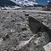  Glacier de Corbassière und Grand Combin (4314m)