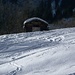 Schnee-Trail und Heuschober in Strickbau