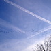 Eine Flugformation von Saat- und Blässgänsen