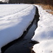 Waldrand an der Gaim