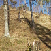 In den steilen, sonnigen Südflanken des Imebärg geht es hinauf.