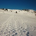 Zahlreiche Spuren führen zum Gipfel des Burgfeldstandes (2063m). Für eine Skitour hat es gerade noch genügend Schnee im Gipfelbereich!