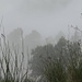Nebel im Montserrat