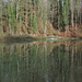 Spiegelbild 1