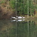Spiegelbild 3