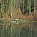 Spiegelbild 4