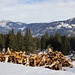 einmal mehr: Holz - verschiedenen Formen und Ansichten;
vor Fürstein und Haglere (rechts)