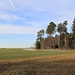 Waldsaum bei Rosenthal
