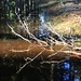 Spiegelung im Schmelzwasser