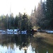 Teich, "Smog over the water"
