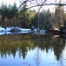Teich, Spiegelung