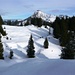 Traumhaftes Schneeschuhgelände auf der Sattelalpe - im Hintergrund der Diedamskopf
