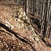 hier ist die Stützmauer der alten Strasse abgerutscht