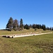 "Gipfel" in Sicht - beeindruckend v.a. die Weite