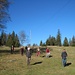 ... und viel Platz für die internationale Wandertruppe