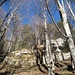 typische Combe-Landschaft