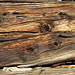 our friend old wood