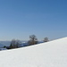 Winterimpression aus dem Südschwarzwald