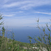 der Vesuv taucht am Horizont auf - Blick Richtung Festland und Neapel