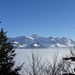 Der Alpstein über dem Nebelmeer