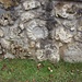 Ammoniten in einer Felswand            [http://www.matthias.hikr.org Home]