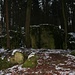 Besuch im Druidenhain            [http://www.matthias.hikr.org Home]