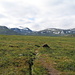 Weg im weiten Gletschertal und norwegische Wegmarkierung (roter Punkt am Stein)  700 m s.m.