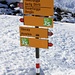 Auf 2000m liegt im Davoser Gebiet sicher einen Meter Schnee. Leider hat aber weiter oben der Wind ganze Arbeit geleistet und man findet öfters heimtückisch unter einer dünnen Schneedecke versteckte Steine welche einem die Ski verkratzen!