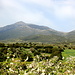 Blick aus dem Kariá Tal auf den Artemisio