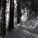 Der Weg führt durch vom Nebel mit Reif verzierte Wälder.<br />(Foto von der Reko-Tour am 30. Januar)