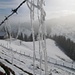 Vom Nebel mit Reif überzogene Kuhhaare am Stacheldraht. Oder stieg da ein Nacktwanderer über den Zaun?
(Foto von der Reko-Tour am 30. Januar)