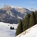 die Fahrt - und der Schnee - geht langsam zu Ende;
im Hintergrund der steile Zahn des Schibegütsch, Böli und Hächle