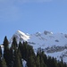 noch einmal Einblick in die besonnte Gipfel-NW-Flanke des Chli Schnierenhirelis